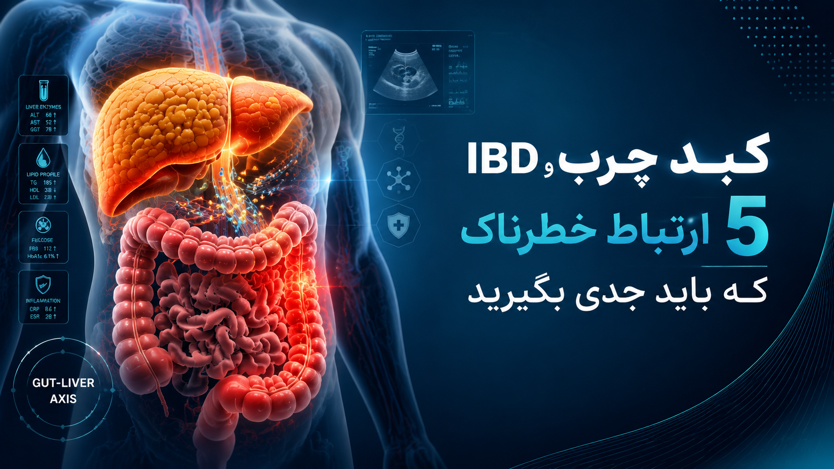 کبد چرب و IBD؛ ارتباطی پنهان که نباید ساده بگیرید