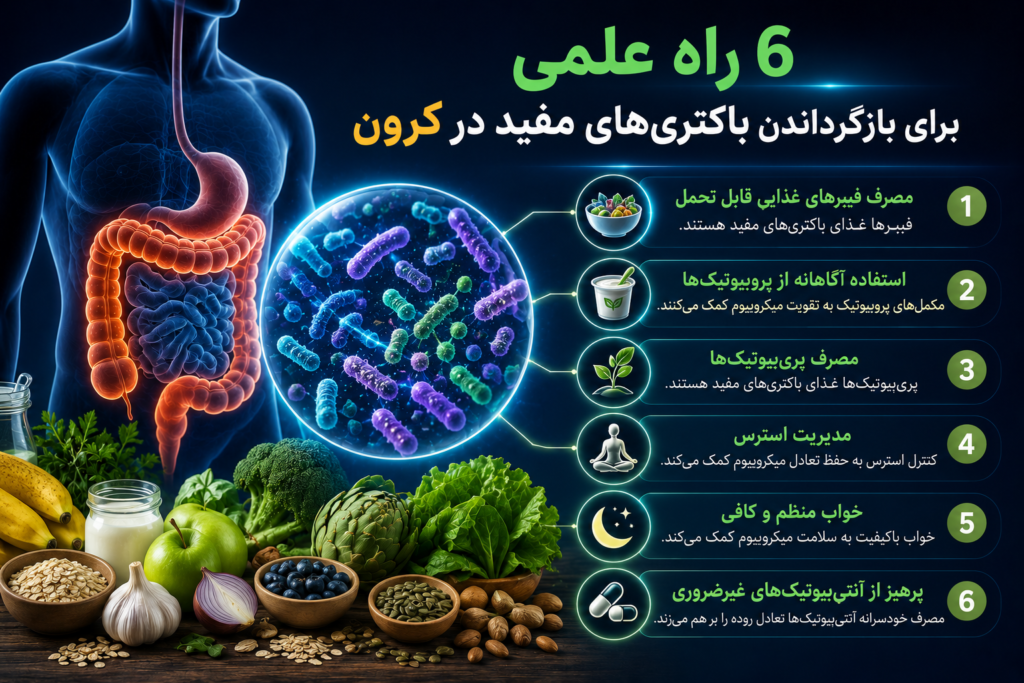 میکروبیوم روده چیست و چه نقشی در سلامت بدن دارد؟