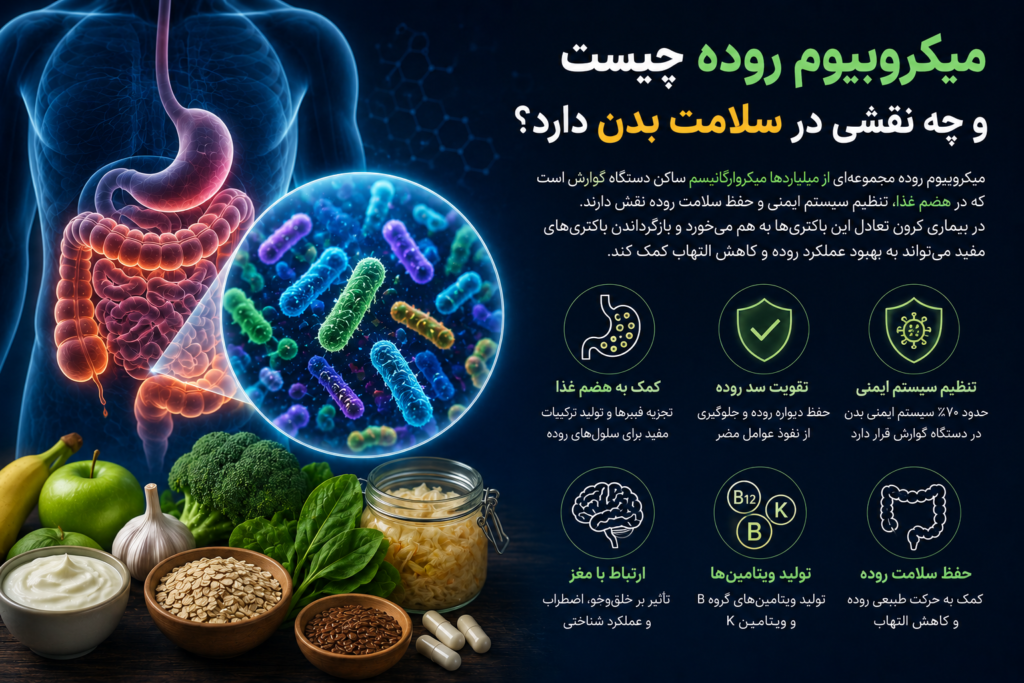 میکروبیوم روده چیست و چه نقشی در سلامت بدن دارد؟
